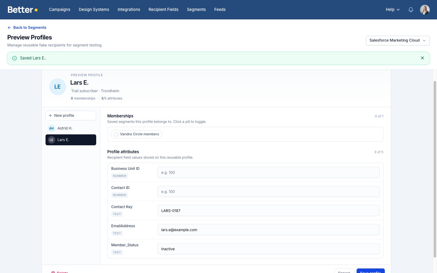 Reusable preview profiles with segment membership and recipient field values